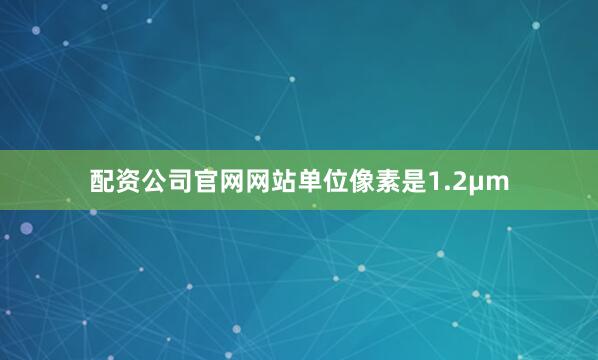 配资公司官网网站单位像素是1.2μm